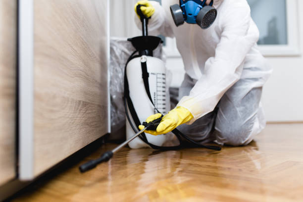 Best Mosquito Control Services  in East Lansing, MI