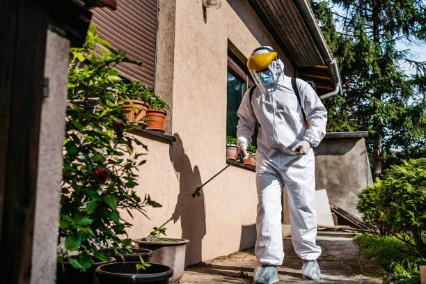 Best Spider Control Near Me  in East Lansing, MI