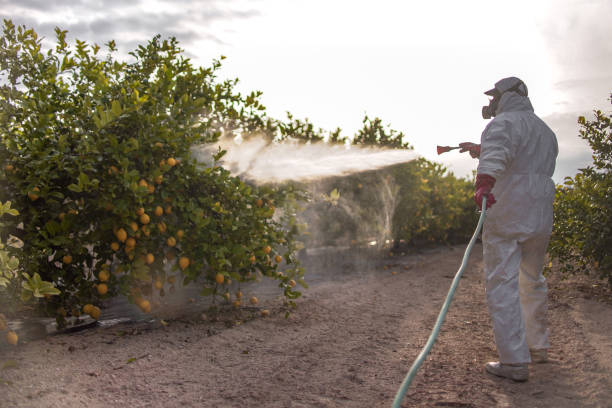 Best Wasp Removal Services  in East Lansing, MI