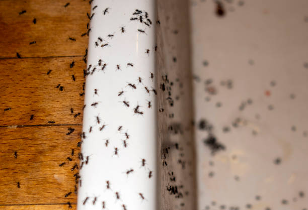  East Lansing, MI Pest Control Pros