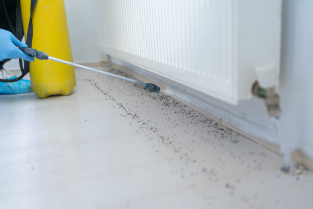 Pest Prevention Services in East Lansing, MI